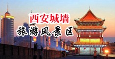 性生活视频大全网站中国陕西-西安城墙旅游风景区